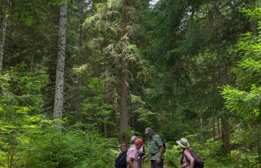 1 - Foret-des-Arses_ZFC_0969