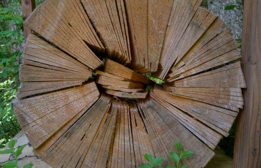 5 - Foret-des-Arses