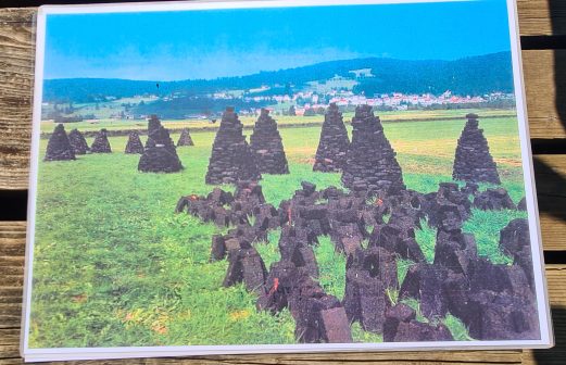 1- Tourbières Ponts de Martel