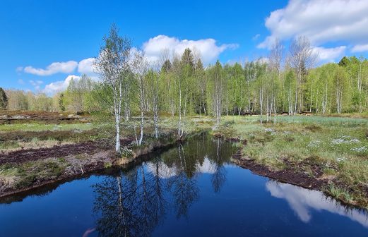 3 - Tourbières Ponts de Martel