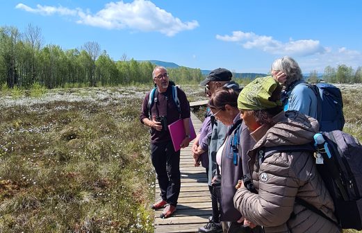 4 - Tourbières Ponts de Martel