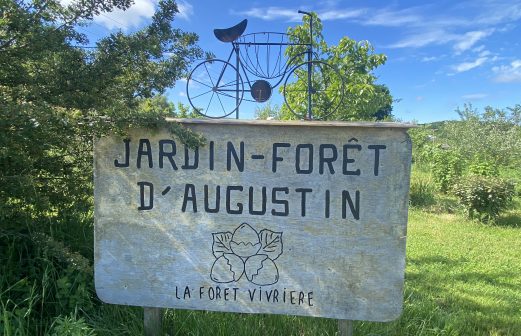 2- Forêt d'Augustin