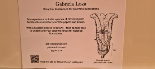 Illustration Botanique - Mars 2025